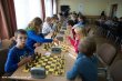 Turniej szachowy w Osiecznej