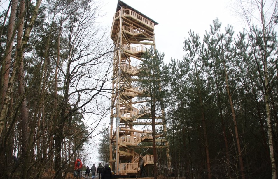 - jagoda_2.jpg - jagoda_2.jpg